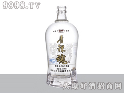 AiײƿZH-J-248-500ml