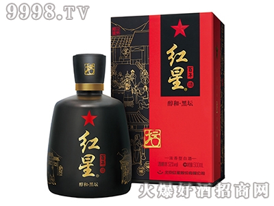 tǾ(tǰ-500mL)ͺډ52